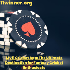 my11 cricket app