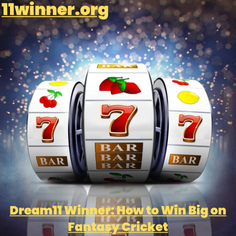 dream11 winner