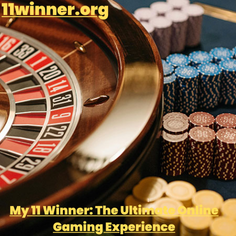 my 11 winner