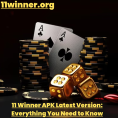 11 winner apk latest version