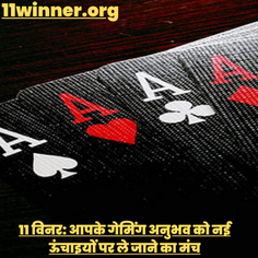 11 विनर